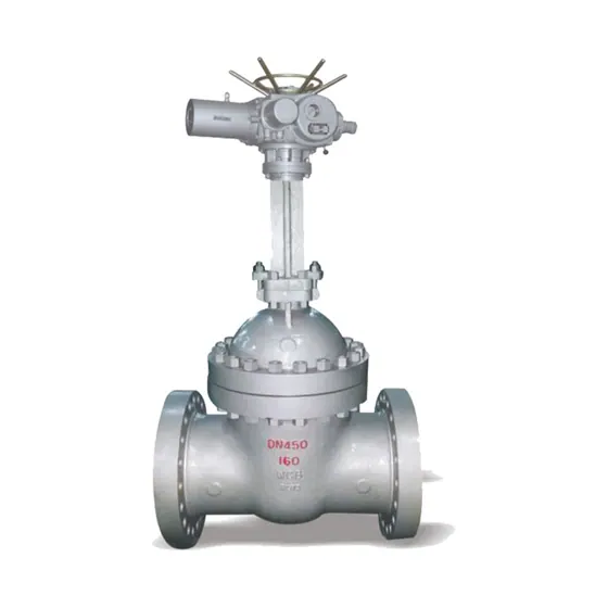 National Standard Electric Flange Gate Valve