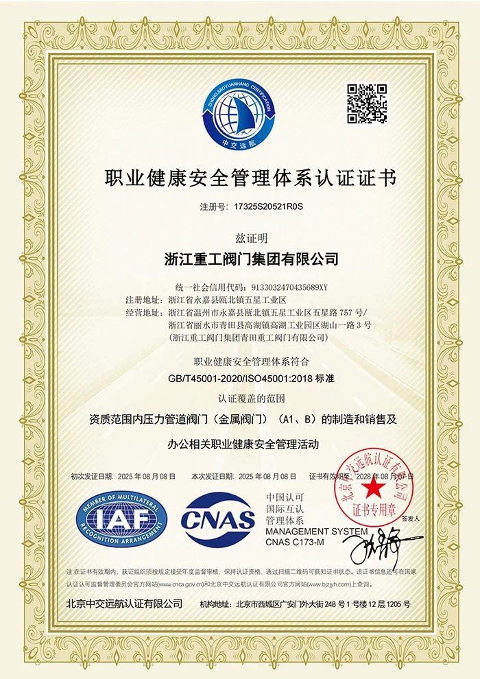 ISO 45001 Occupational Health and Safety Management System Certification