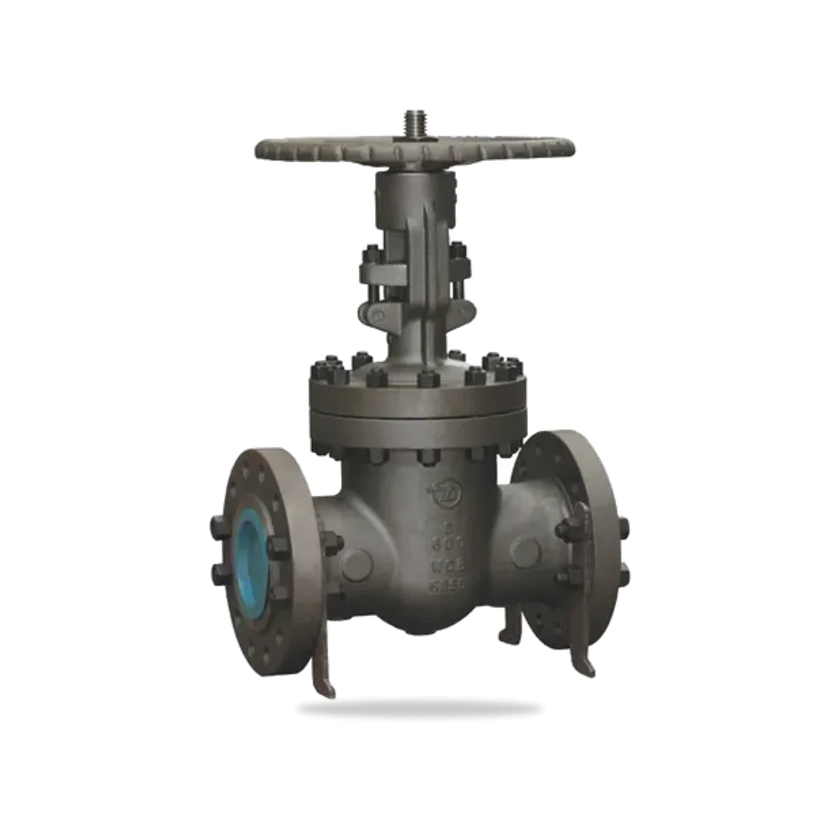 CNZG-2307 Api valve