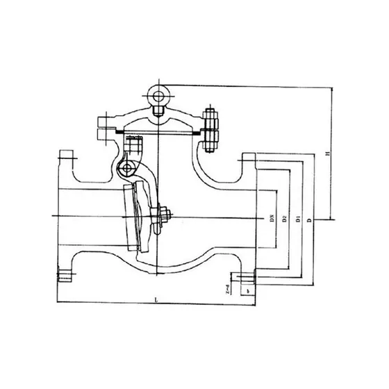 H44(H、Y、W、F、N)-PN16、25 H44 swing flange check valve