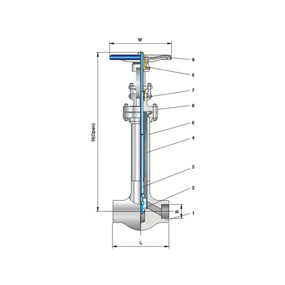 CNZG-2551 Bellows globe valve Class800