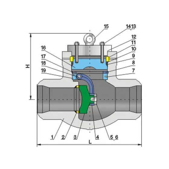 CNZG-2558 Bolted valve cover swing check valve CLass900/1500/2500