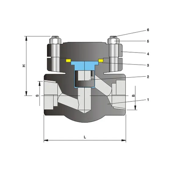 CNZG-2562 Forged steel lifting flange check valve Class800
